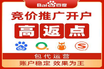 SEM广告投放的竞价策略与效果评估案例